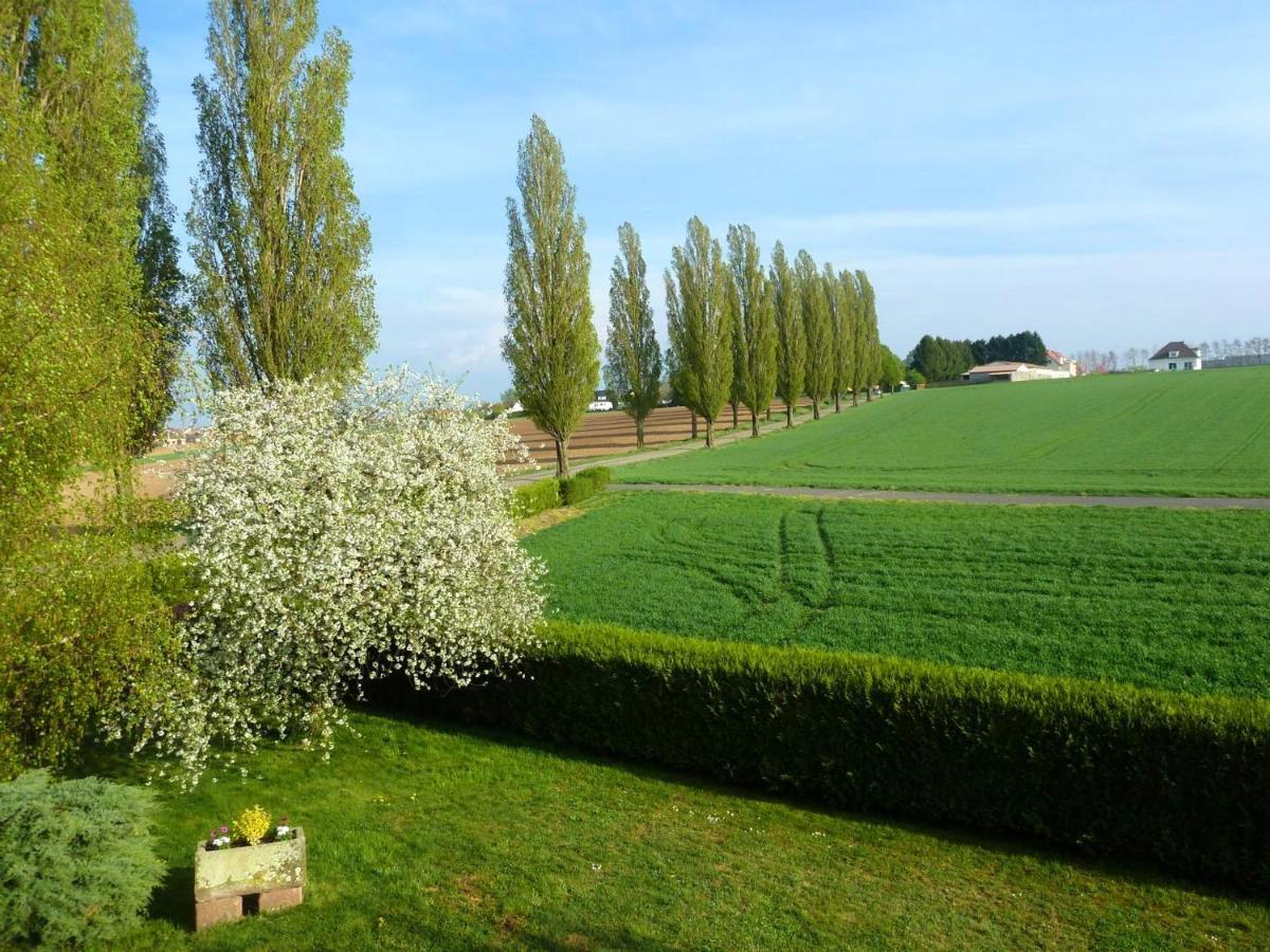 Appartement Charmant A Hochfelden 100 M² Et Parking Gratuit Gottesheim Buitenkant foto